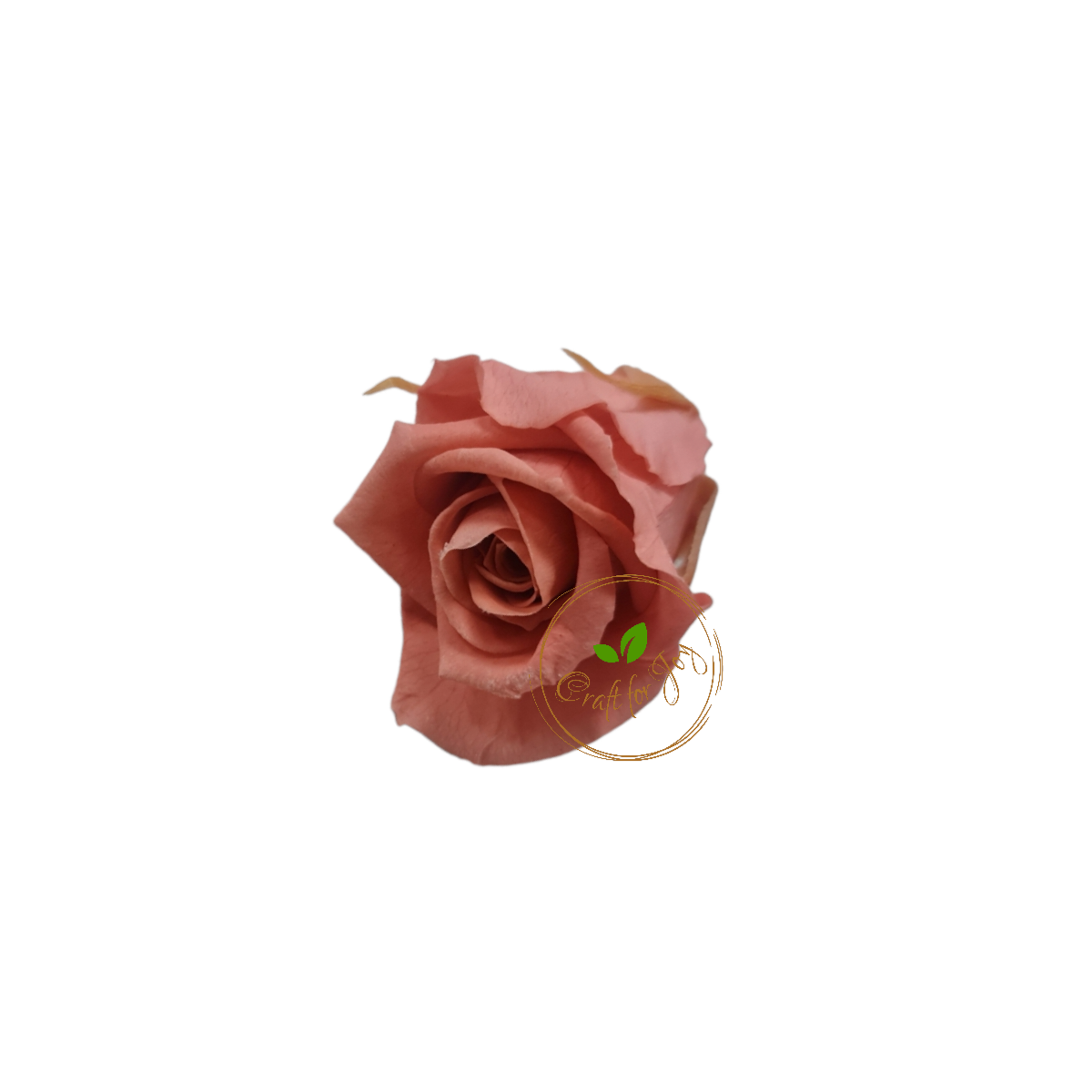 Trandafiri conservați M (3,5-4,5cm)