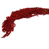 Incarcă imagine în Gallery viewer, Amaranthus rosu intens H40-70cm, 150g
