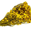 Incarcă imagine în Gallery viewer, Ammobium galben

