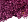 Incarcă imagine în Gallery viewer, Broom Bloom light purple, H 40-50cm
