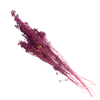 Incarcă imagine în Gallery viewer, Broom Bloom light purple, H 40-50cm
