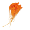 Incarcă imagine în Gallery viewer, Broom Bloom light orange, H 40-50cm
