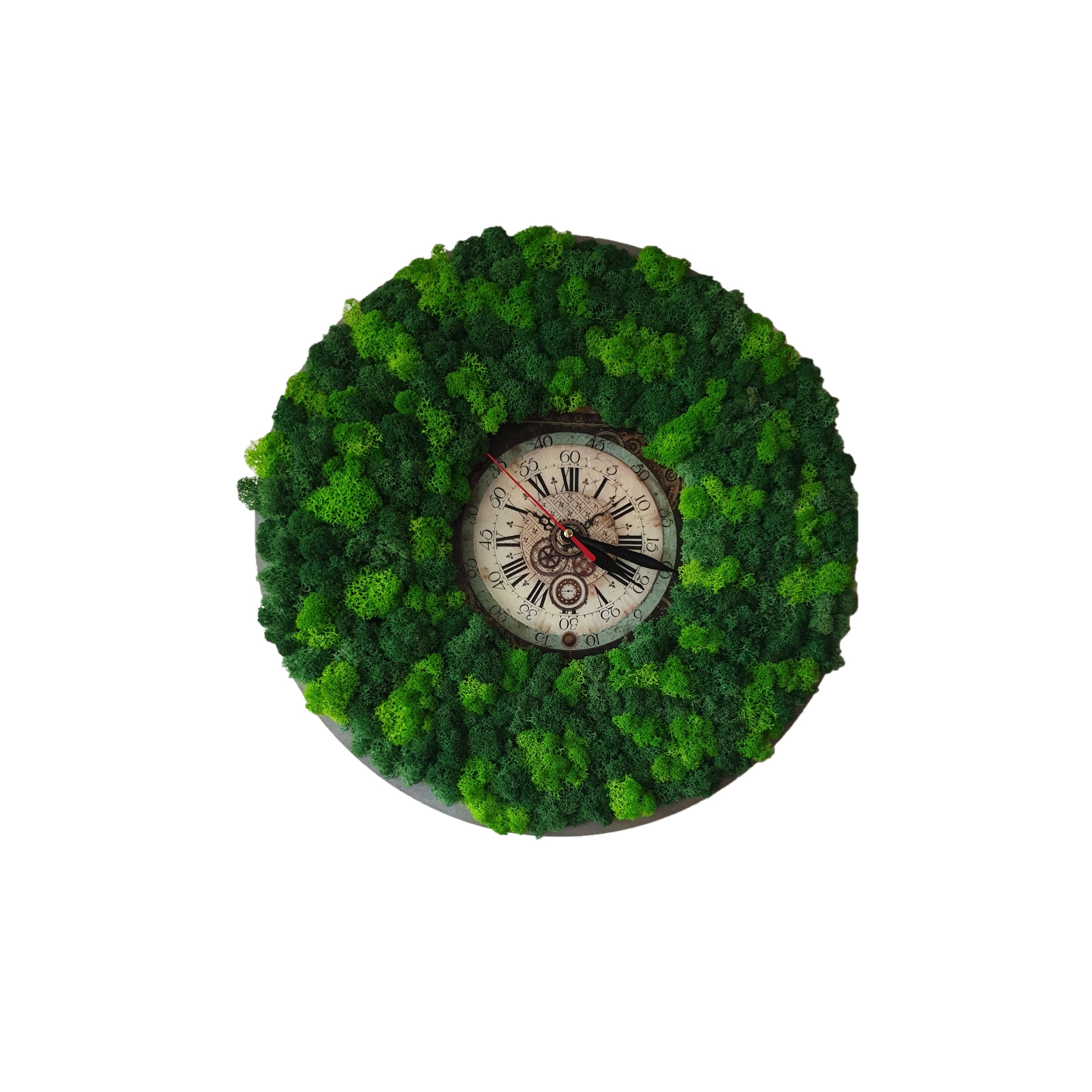 Ceas decorat cu licheni stabilizați, 40 cm diametru