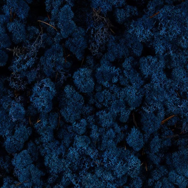 licheni-stabilizati-clasic-blue