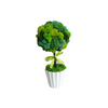 Incarcă imagine în Gallery viewer, Copăcel ornamental decorat cu licheni naturali stabilizați
