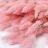Incarcă imagine în Gallery viewer, Lagurus roz/pink
