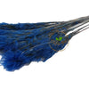 Incarcă imagine în Gallery viewer, Feather Grass Royal Blue
