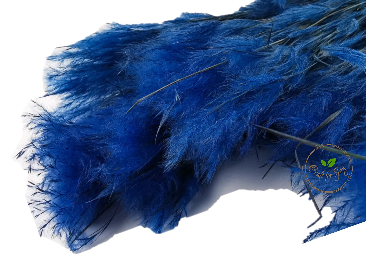 Feather Grass Royal Blue