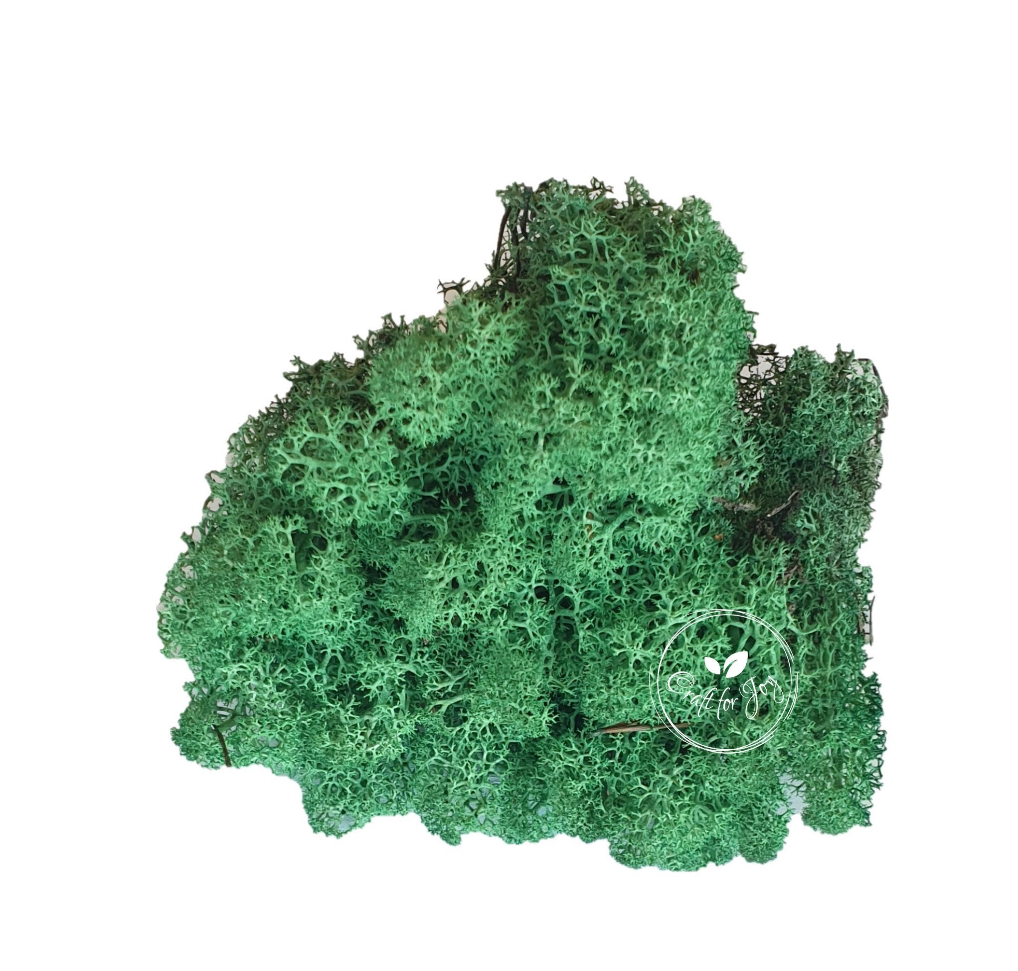 Licheni stabilizati Grass Green
