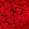 Incarcă imagine în Gallery viewer, licheni-stabilizati-red
