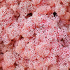Incarcă imagine în Gallery viewer, licheni-stabilizati-rose
