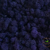 Incarcă imagine în Gallery viewer, licheni-stabilizati-purple-N
