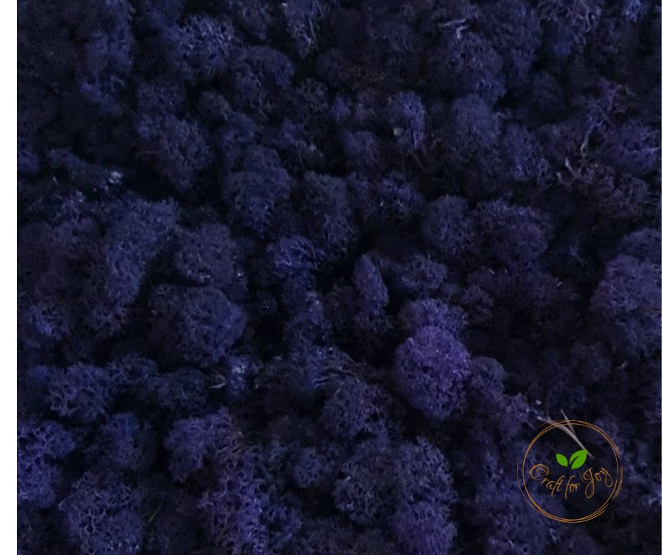 licheni-stabilizati-purple-N