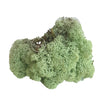 Incarcă imagine în Gallery viewer, Licheni stabilizati Mint Green
