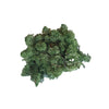 Incarcă imagine în Gallery viewer, Licheni stabilizati Moss Green
