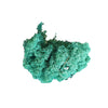 Incarcă imagine în Gallery viewer, licheni-stabilizati-pacific-green
