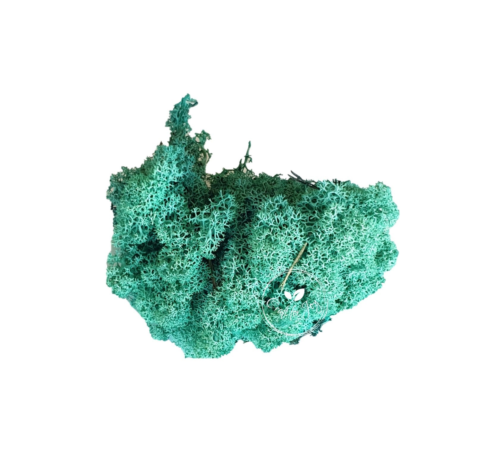 licheni-stabilizati-pacific-green