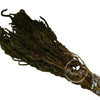 Incarcă imagine în Gallery viewer, Amaranthus Almond Green H50-80cm, 150g
