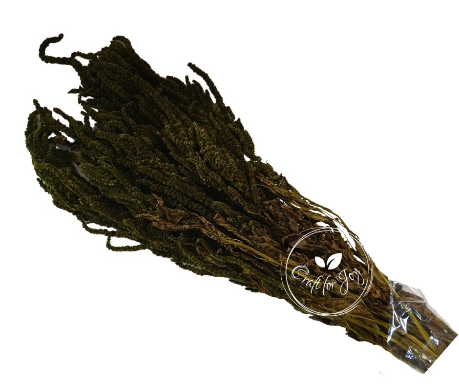 Amaranthus Almond Green H50-80cm, 150g