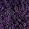 Incarcă imagine în Gallery viewer, licheni-stabilizati-purple
