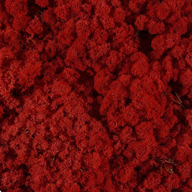 licheni-stabilizati-red