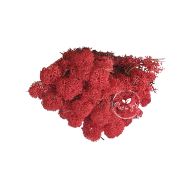 licheni-stabilizati-red