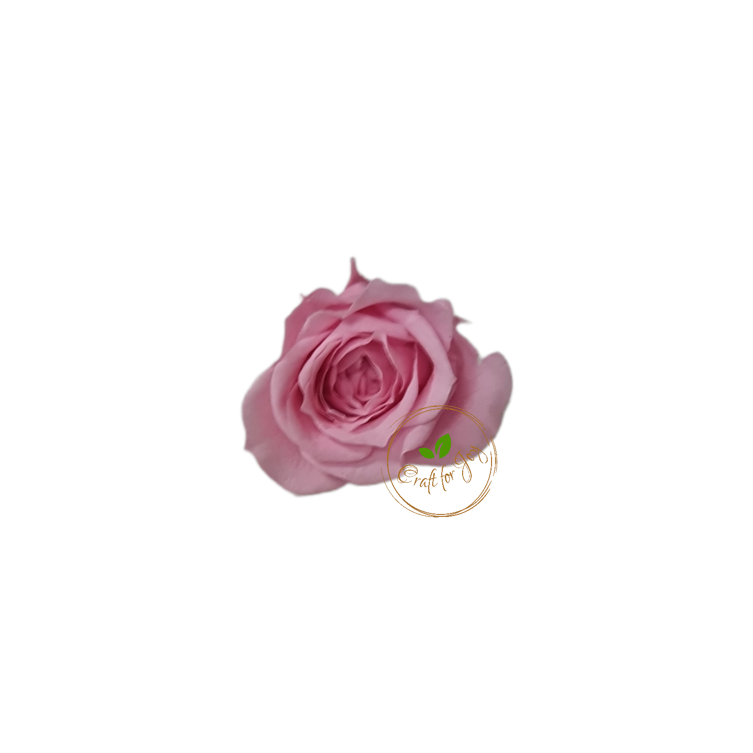 Trandafiri conservați XS (2-2.5 cm)